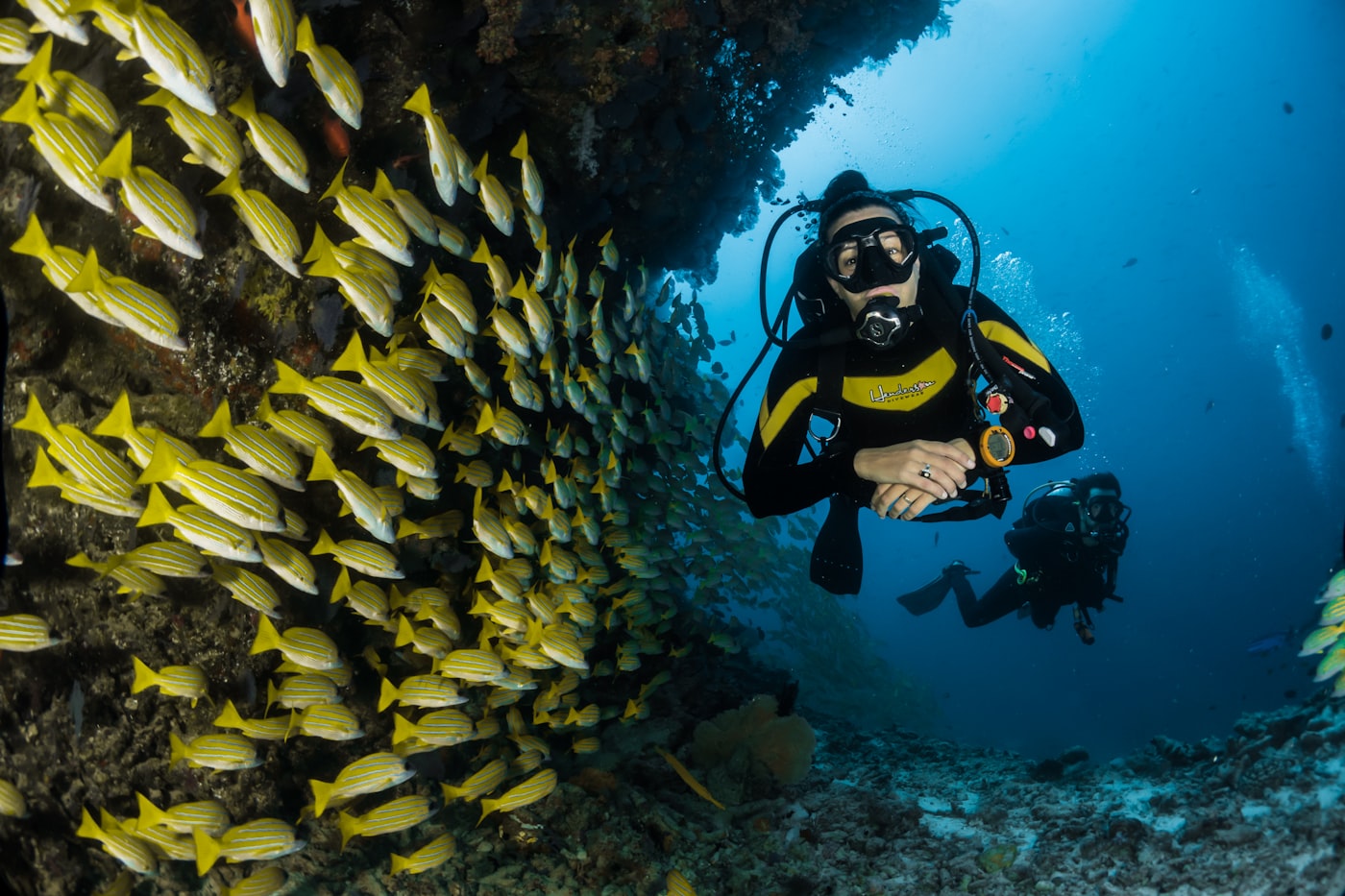 Sub-aquatic Expeditions