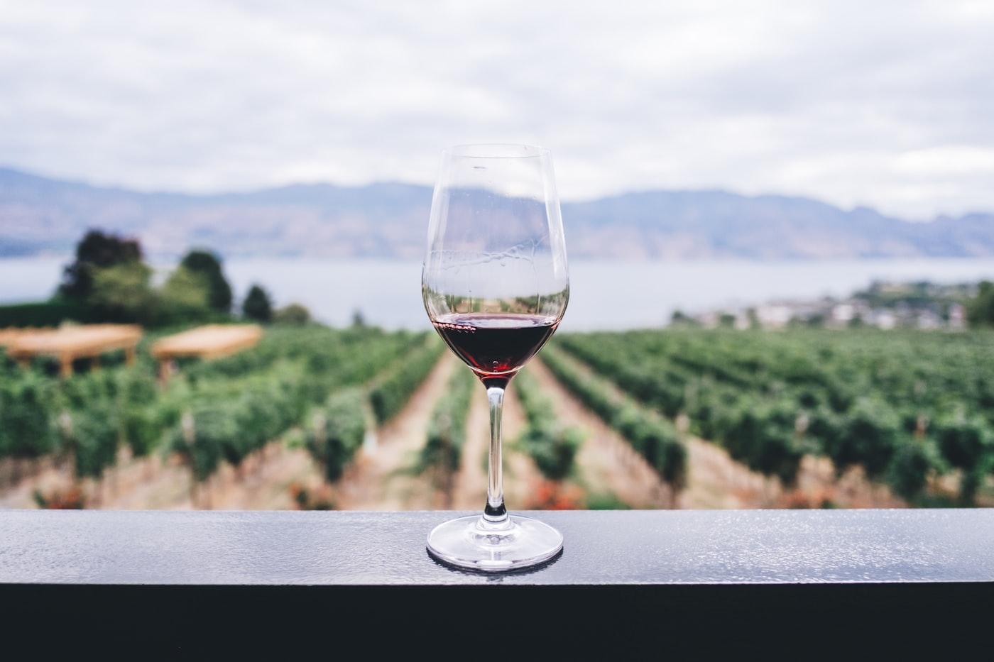 Estate & Vineyard Access